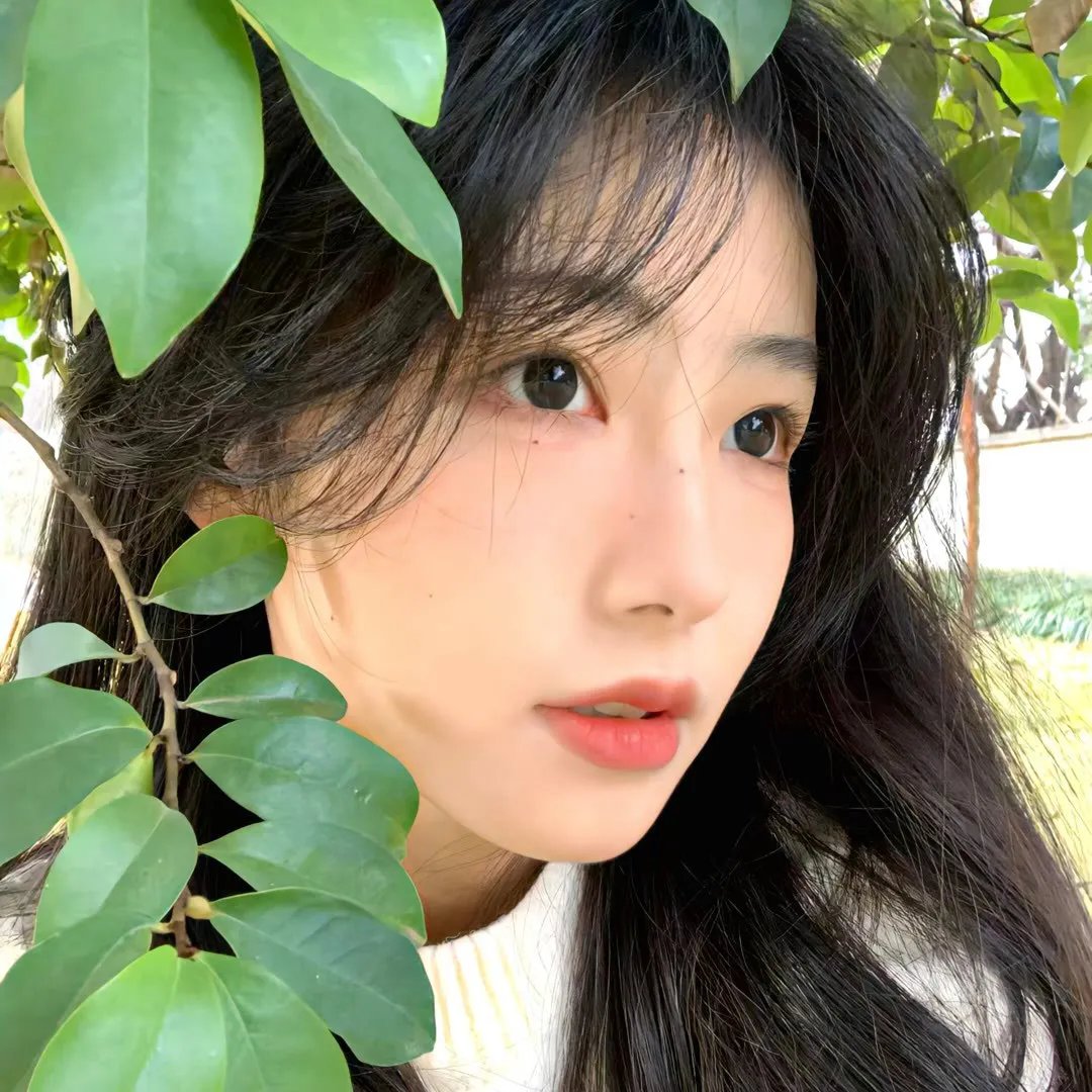 冬湖
